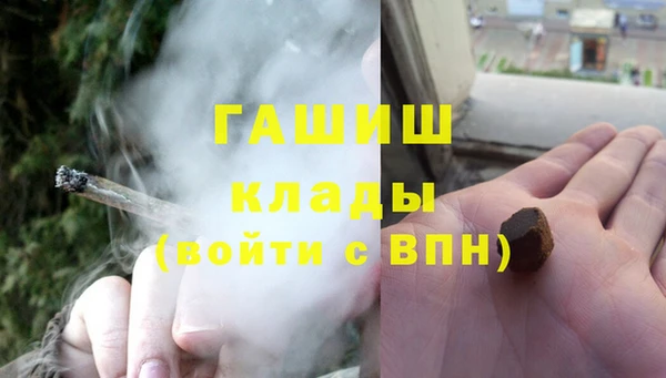 2c-b Бородино