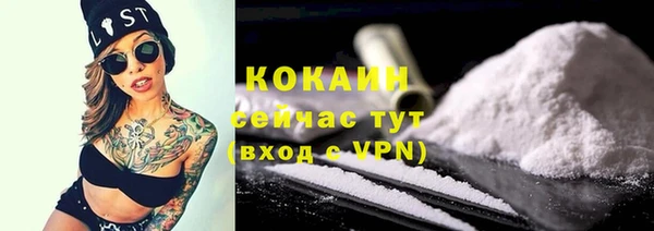 твердый Бронницы