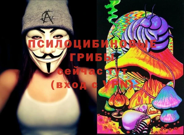 твердый Бронницы