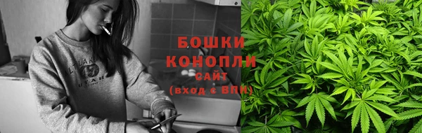 твердый Бронницы